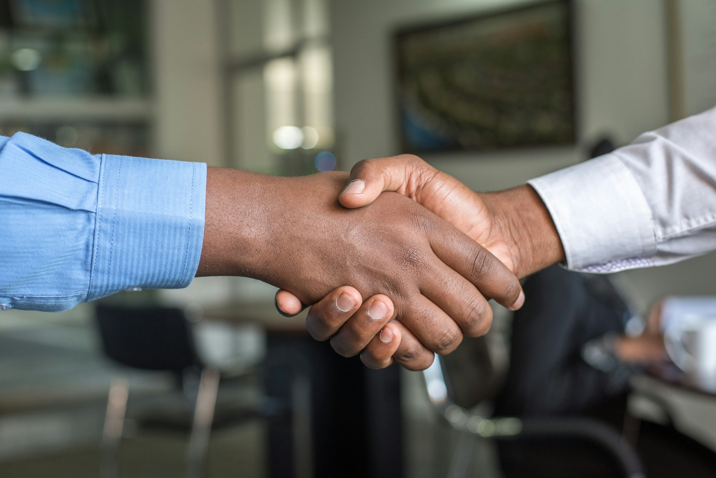 A welcoming professional consultation